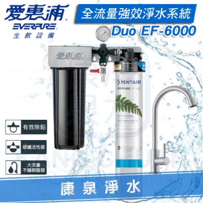 EVERPURE 台灣愛惠浦全流量強效碳纖維系列 整合式雙管淨水系統 PURVIVE-Duo EF-6000